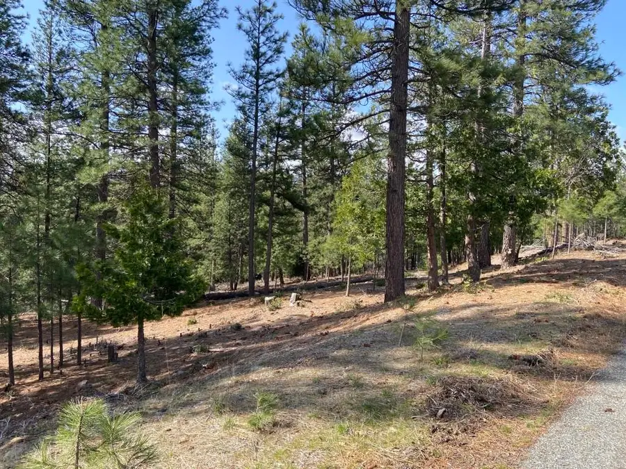 Lot 26 Meadow Ln, Weed, CA 96094 - Image #3