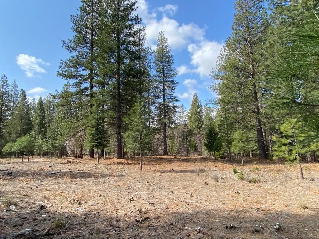 Lot 27 Hidden Meadow Dr, Weed, CA 96094 - Image #1