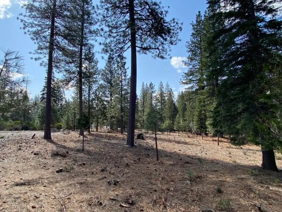 Lot 27 Hidden Meadow Dr, Weed, CA 96094 - Image #2