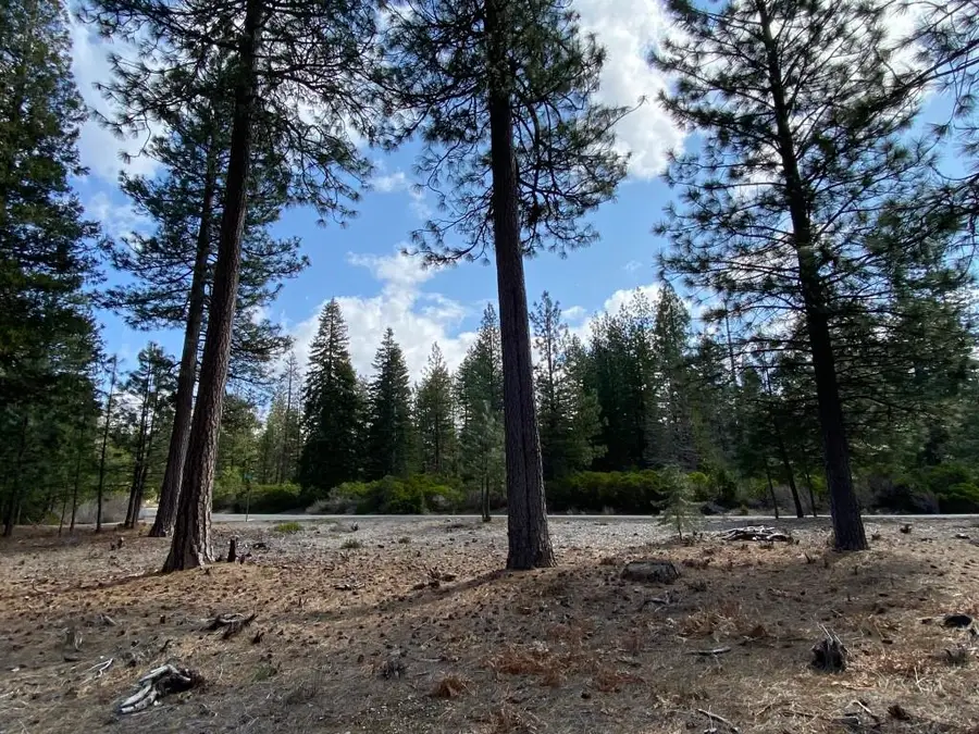 Lot 27 Hidden Meadow Dr, Weed, CA 96094 - Image #3