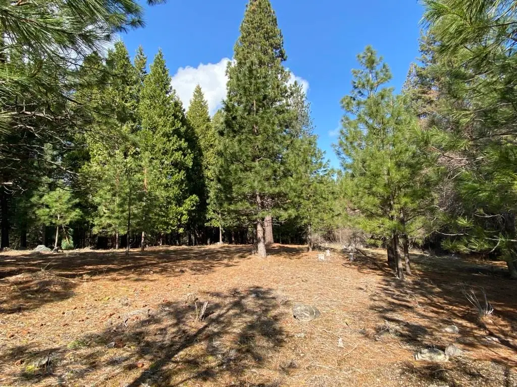 Lot 29 Hidden Meadow Dr, Weed, CA 96094 - Image #1