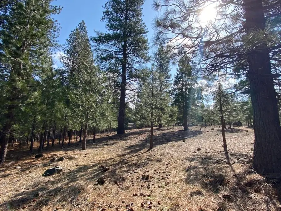 Lot 29 Hidden Meadow Dr, Weed, CA 96094 - Image #2