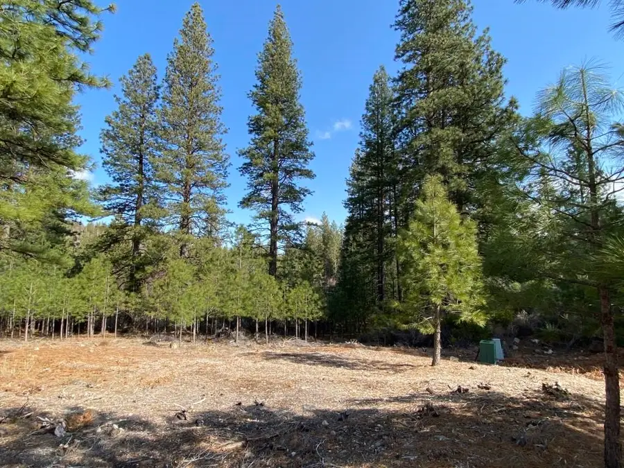 Lot 29 Hidden Meadow Dr, Weed, CA 96094 - Image #3