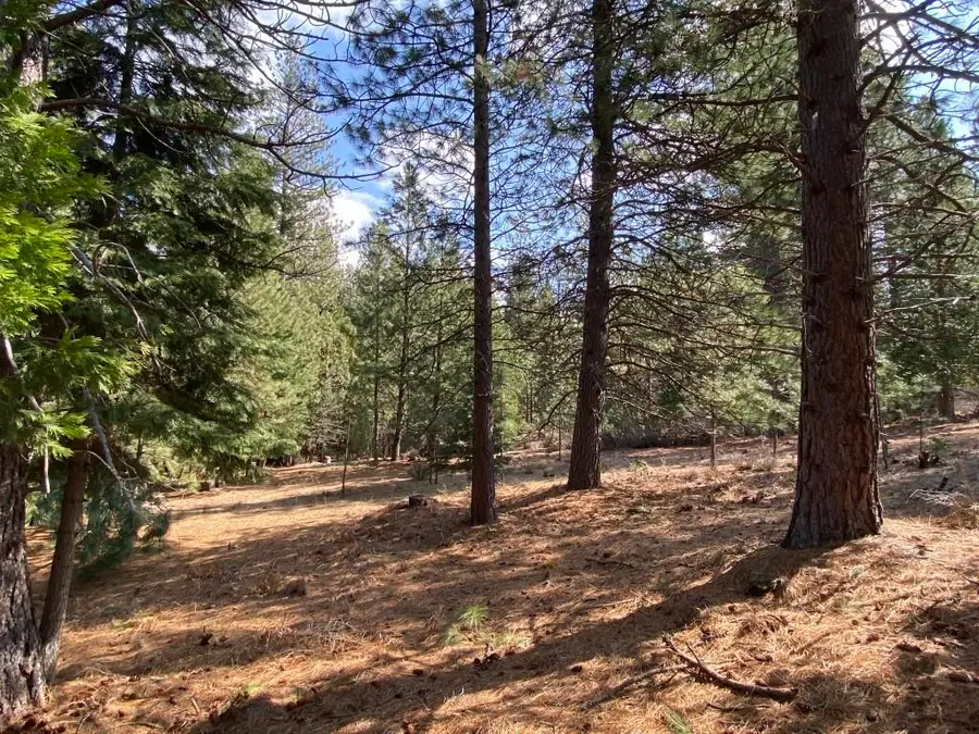 Lot 32 Glenhaven Ct, Weed, CA 96094 - Image #3