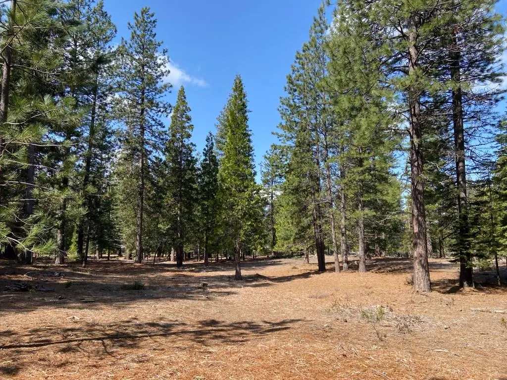 Lot 33 Glenhaven Ct, Weed, CA 96094 - Image #1