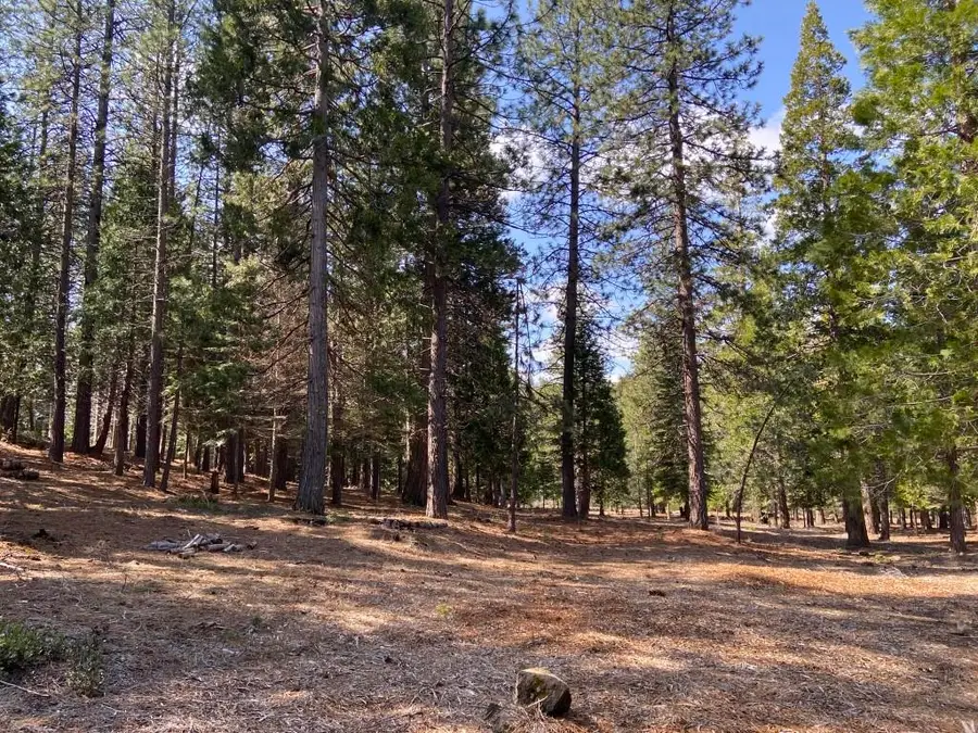 Lot 33 Glenhaven Ct, Weed, CA 96094 - Image #2