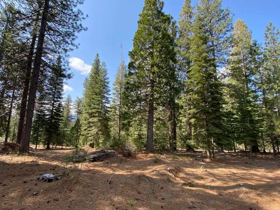 Lot 34 Glenhaven Ct, Weed, CA 96094 - Image #2
