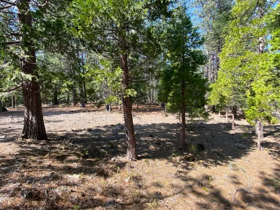 Lot 34 Glenhaven Ct, Weed, CA 96094 - Image #3