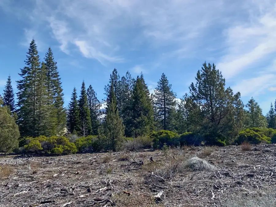 Lor 38 Hidden Meadow Dr, Weed, CA 96094 - Image #2