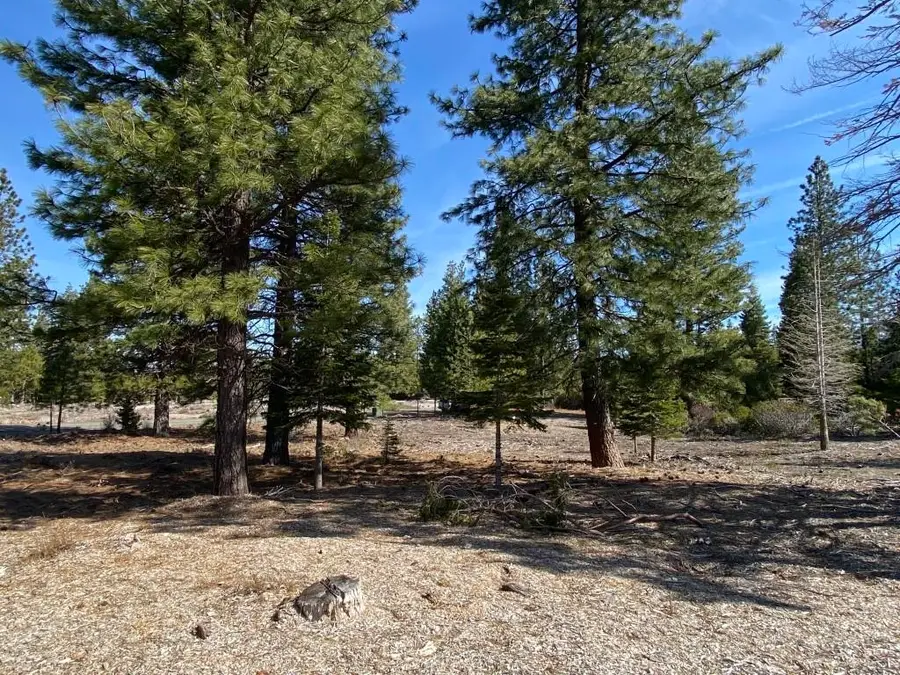 Lor 38 Hidden Meadow Dr, Weed, CA 96094 - Image #3