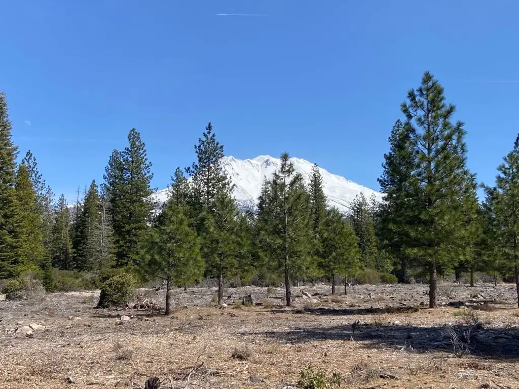 Lot 40 Hidden Meadow Dr, Weed, CA 96094 - Image #1