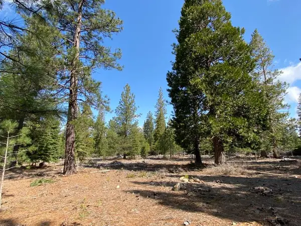 Lot 61 Heather Pl, Weed, CA 96094