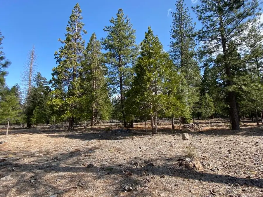 Lot 62 Hidden Meadow Dr, Weed, CA 96094 - Image #2