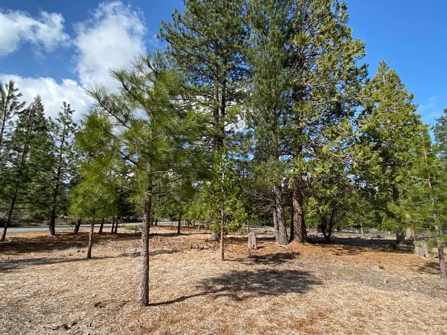 Lot 62 Hidden Meadow Dr, Weed, CA 96094 - Image #3