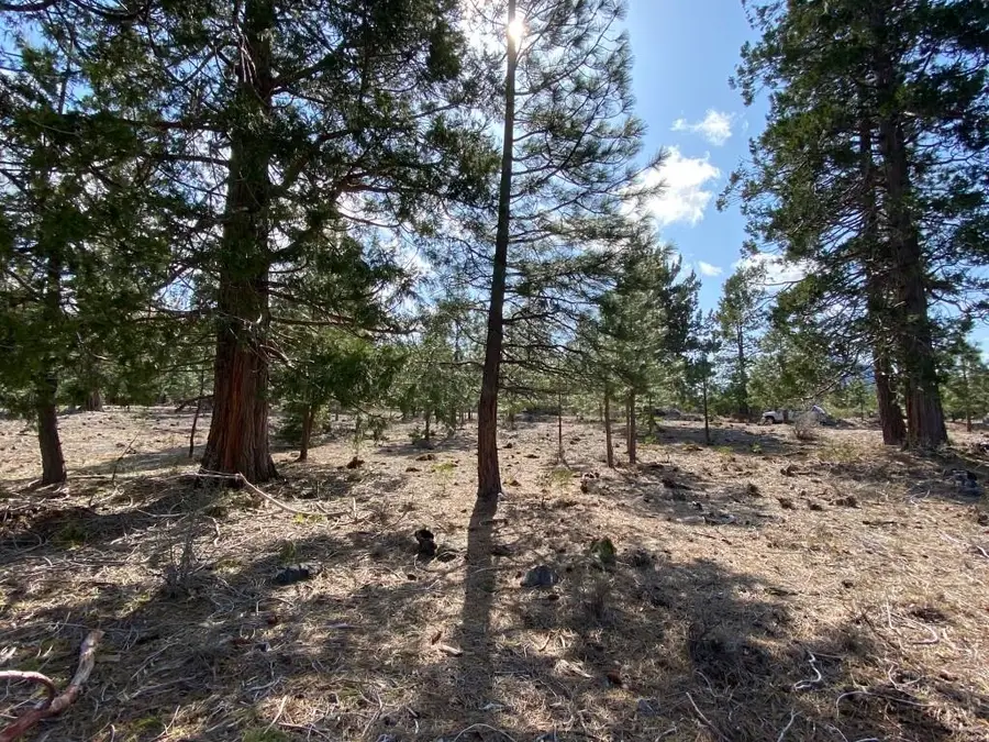 Lot 63 Hidden Meadow Dr, Weed, CA 96094 - Image #2
