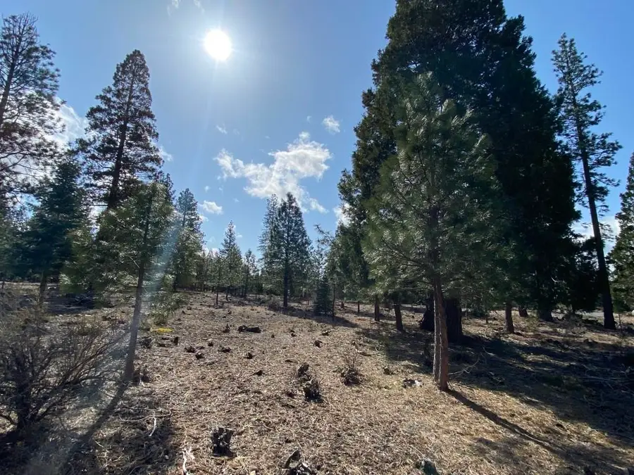 Lot 63 Hidden Meadow Dr, Weed, CA 96094 - Image #3