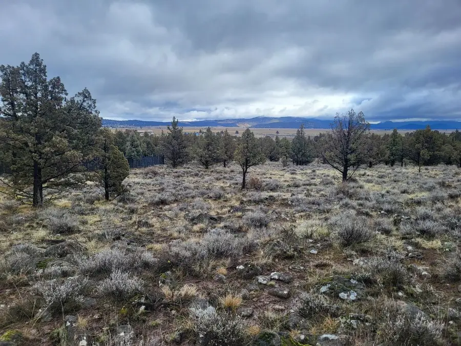 Unit 2 Lot 592 Lazo Ln, Dorris, CA 96023 - Image #3