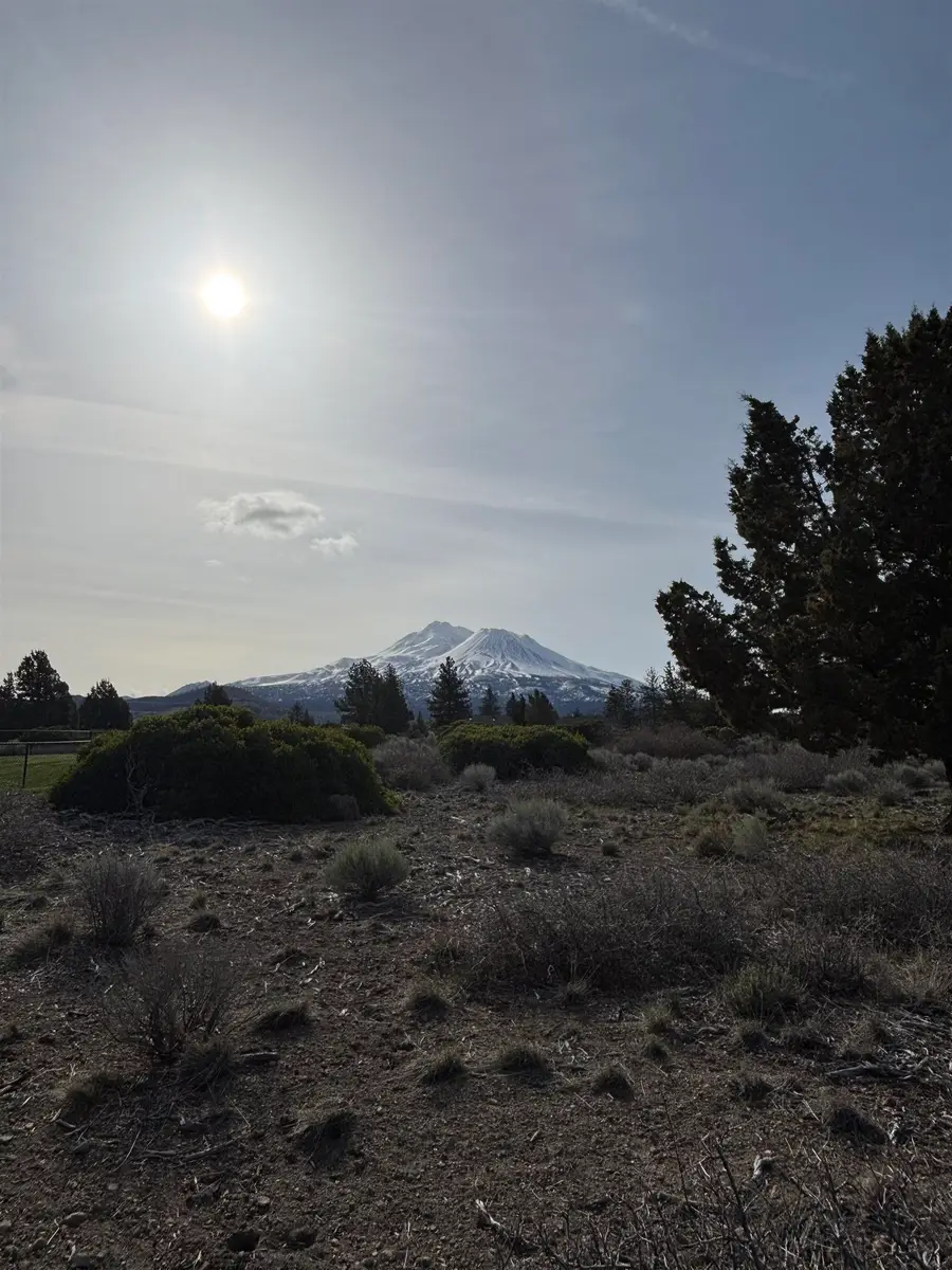 Unit 7-2 Lot 165 Fox Ct, Weed, CA 96094 - Image #2