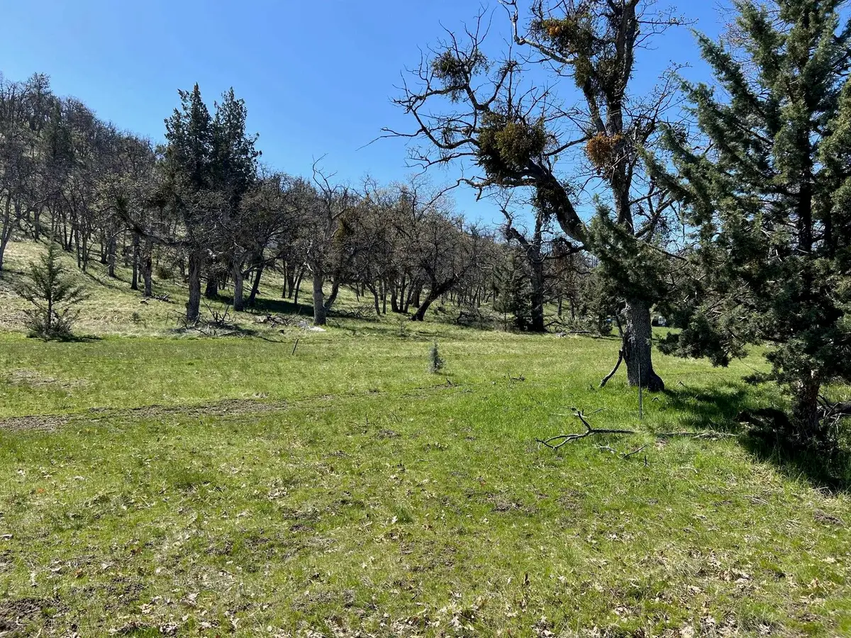 Lot 55 Patricia Ave, Montague, CA 96064 - Image #1