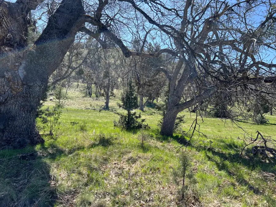 Lot 55 Patricia Ave, Montague, CA 96064 - Image #3