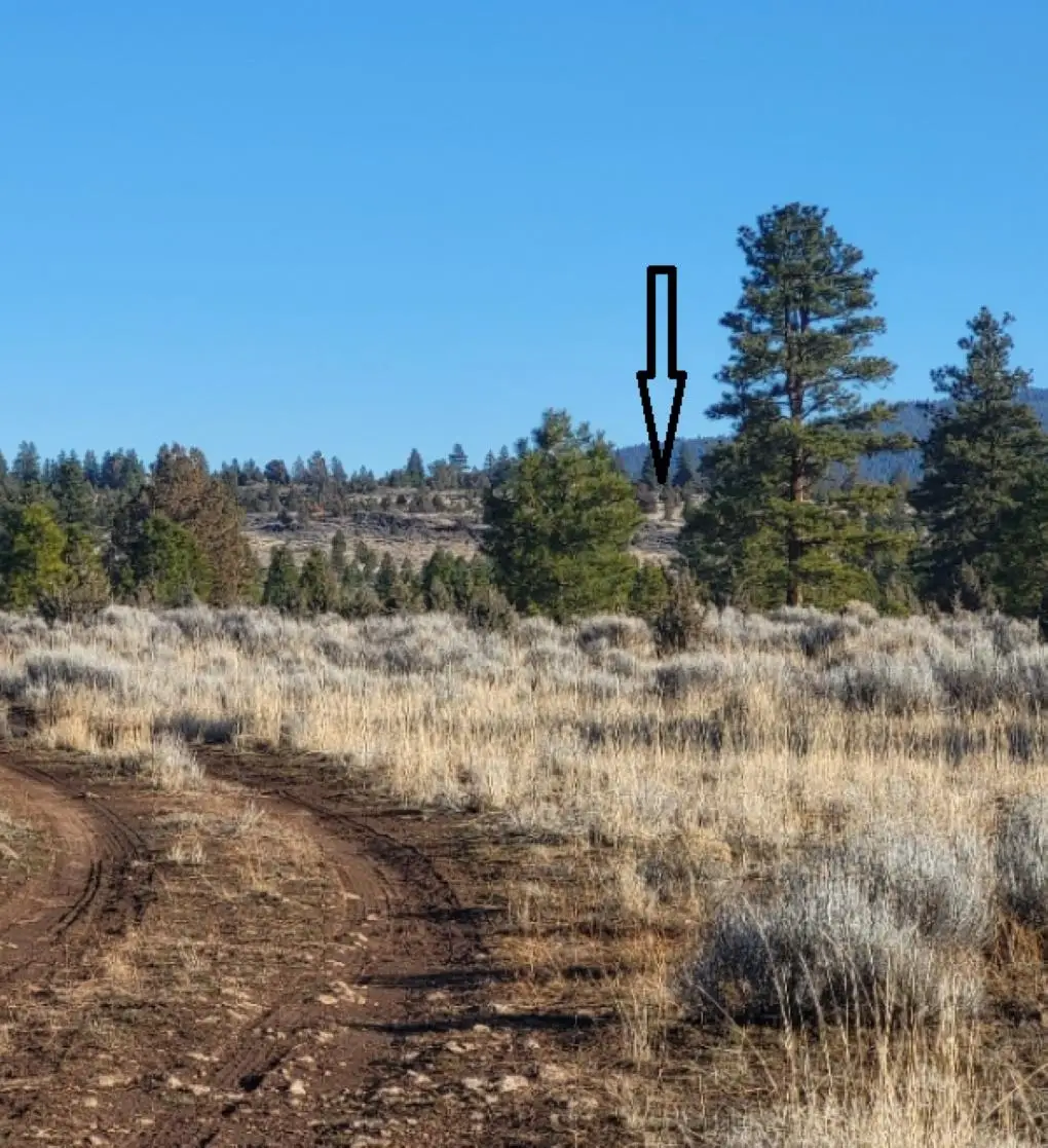 0000 Old State Hwy 97, Macdoel, CA 96058 - Image #1