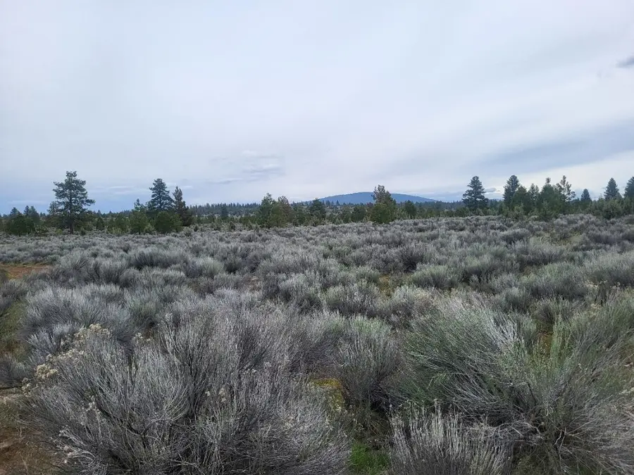 0000 Old State Hwy 97, Macdoel, CA 96058 - Image #2