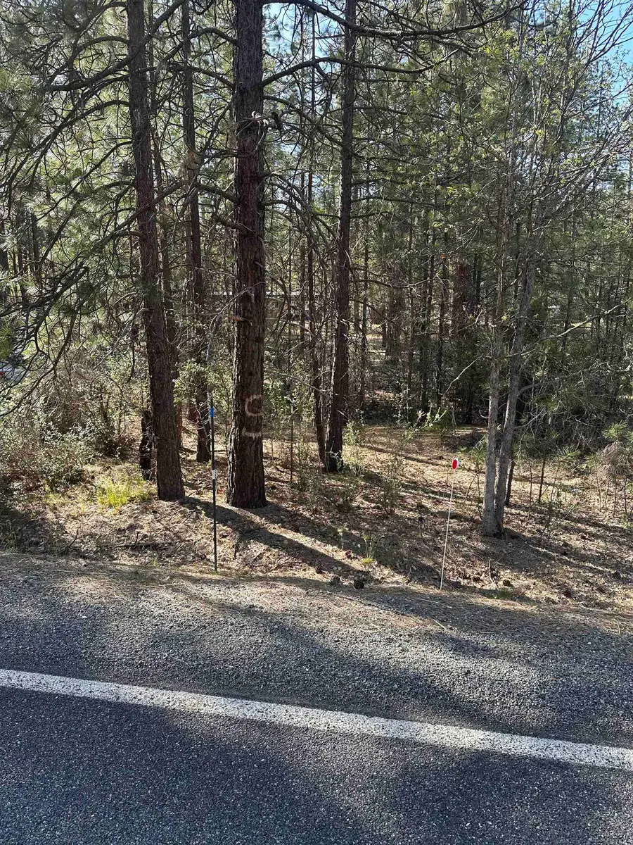 5711 Scott River Rd, Fort Jones, CA 96032 - Image #3