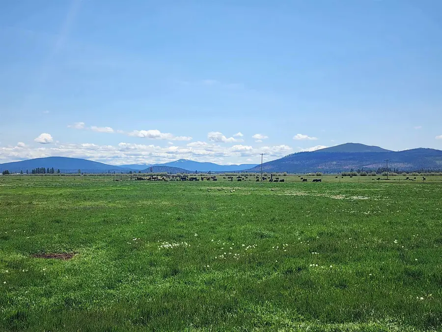 1827 W Ball Mountain Little Shasta, Butte Valley, CA 96001 - #3