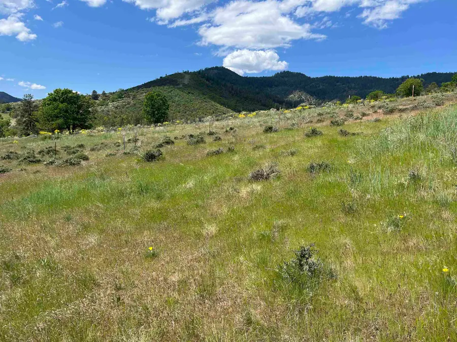 Parcel A + Grizzly Ct, Yreka, CA 96097 - Image #3