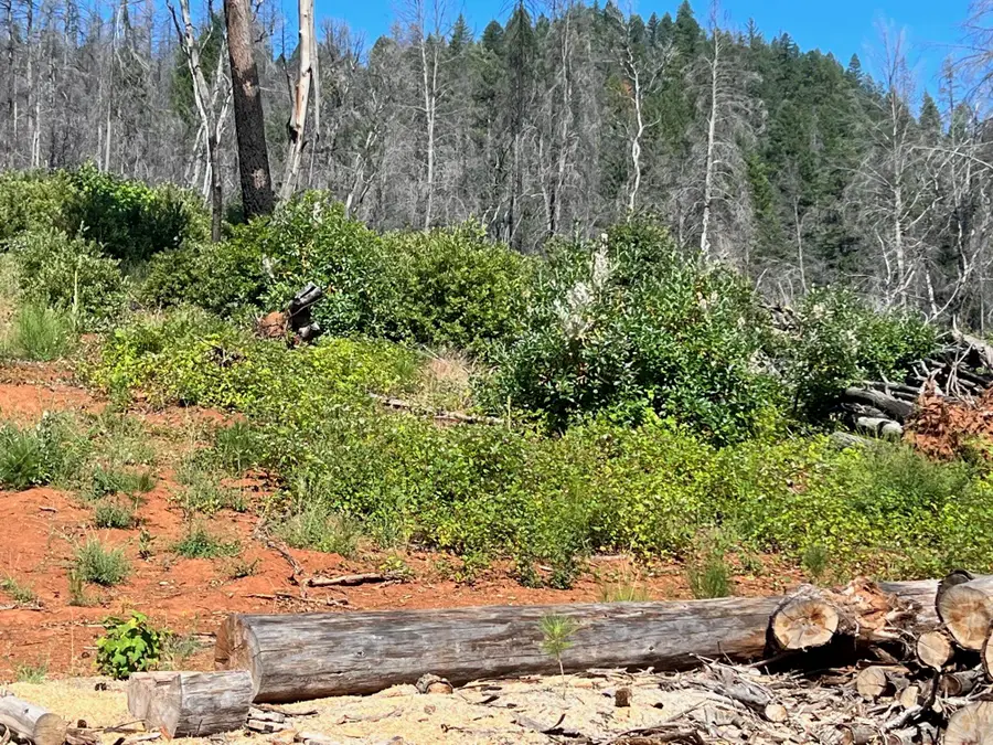 26.6 acres Buckhorn Road, Happy Camp, CA 96039 - #2