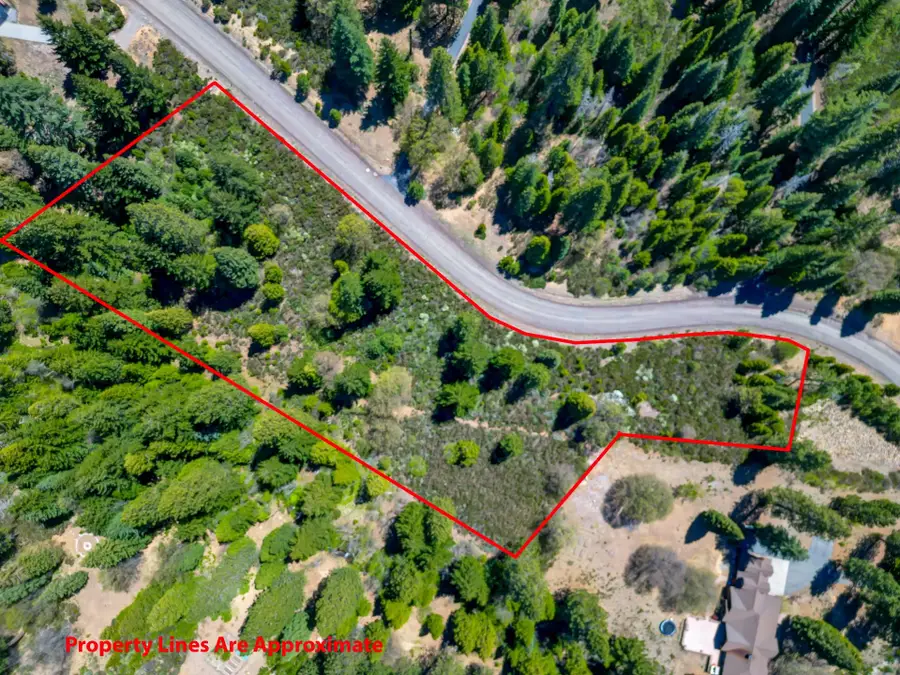 Lot 16 Cold Creek Circle, Mount Shasta, CA 96067 - Image #3