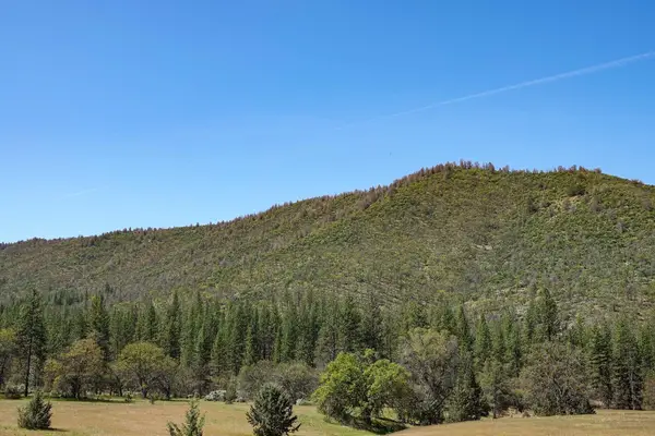 0 East Road, Fort Jones, CA 96032