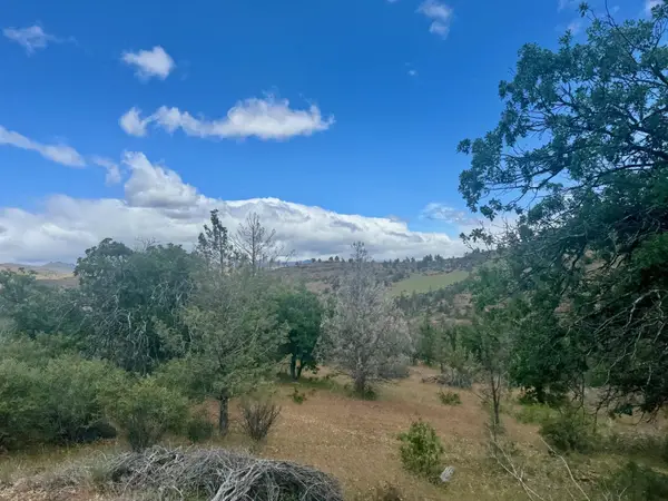 Unit 4  Lot 687 Wolverine Drive, Hornbrook, CA 96044