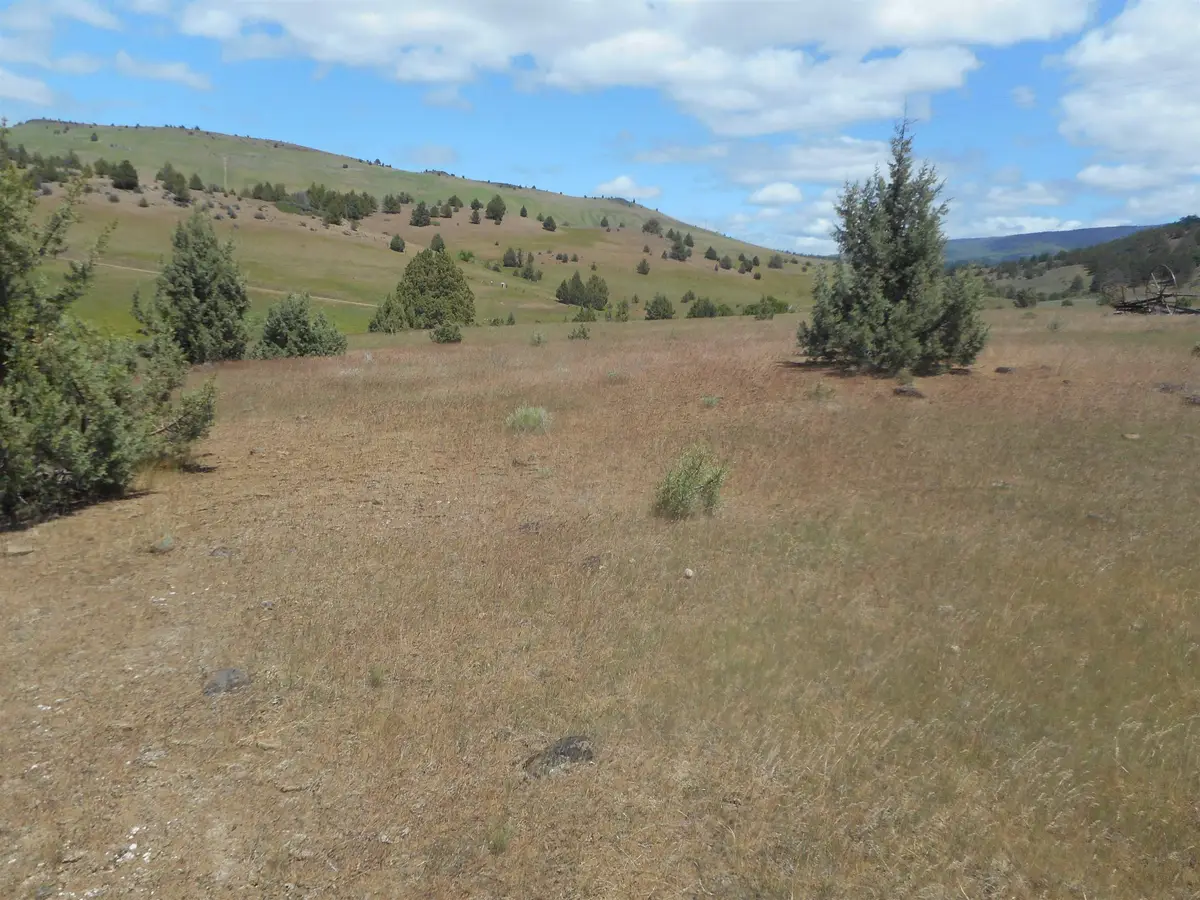 Lot 150-180 Ridge View Dr, Hornbrook, CA 96044 - Image #1