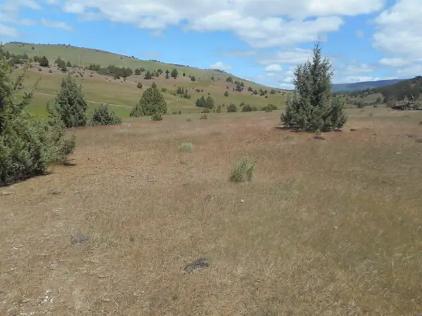 Lot 150-180 Ridge View Dr, Hornbrook, CA 96044