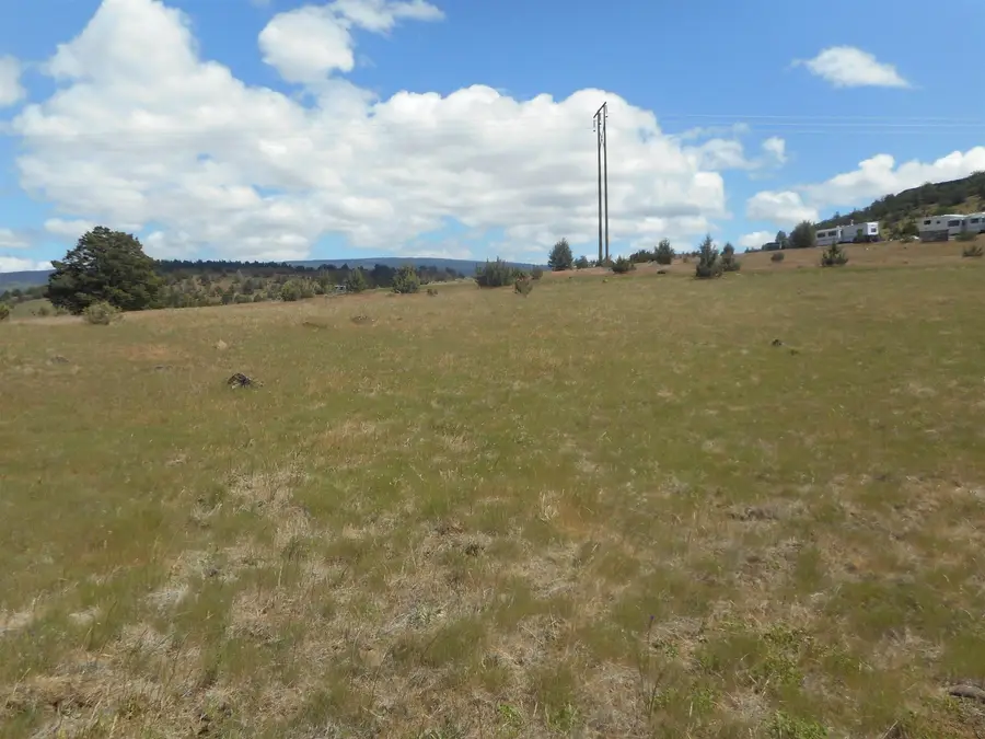 Lot 150-180 Ridge View Dr, Hornbrook, CA 96044 - Image #3