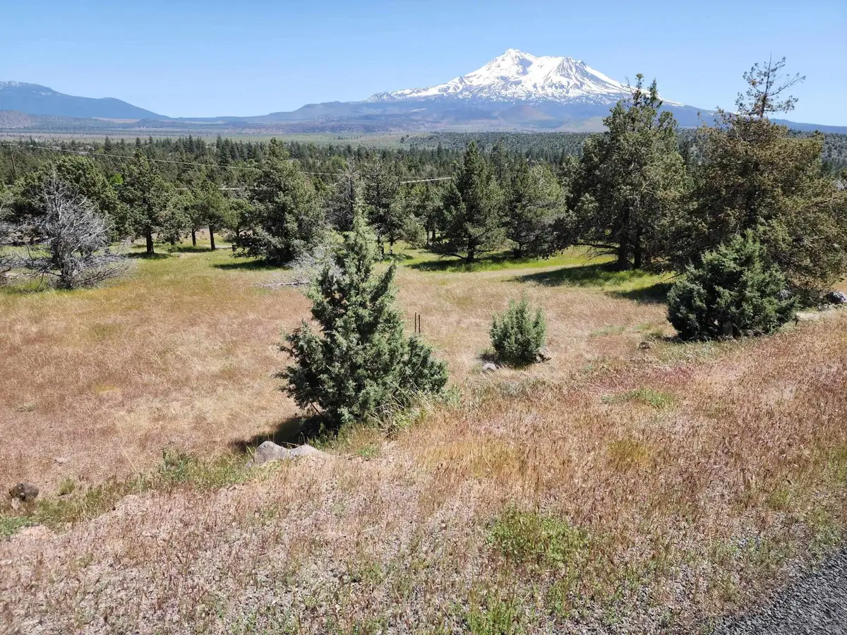 Lot 81 Unit 3 Dwinelle, Weed, CA 96037 - Image #1
