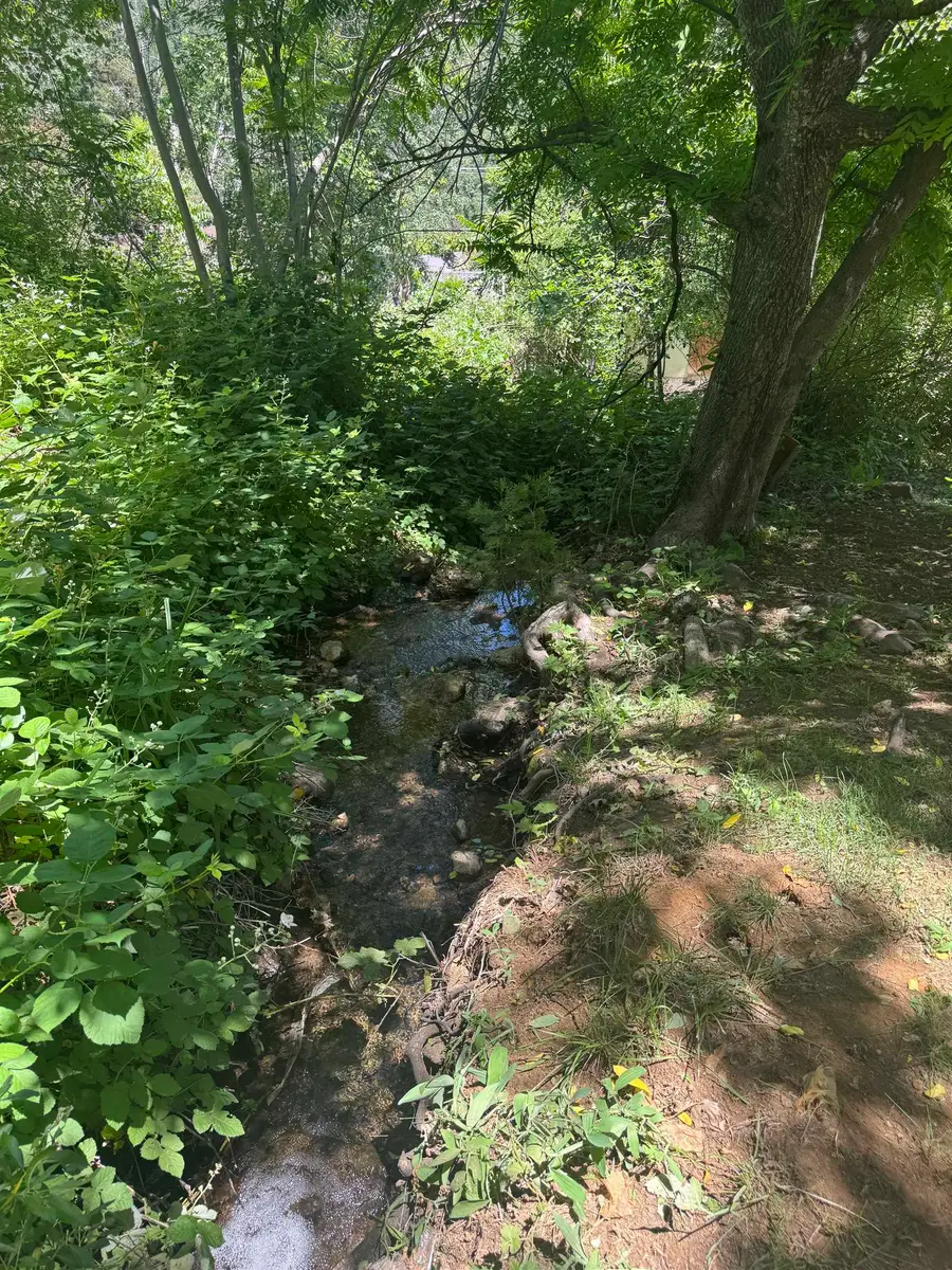 5969 & 5975 Sacramento Ave, Dunsmuir, CA 96025 - Image #3