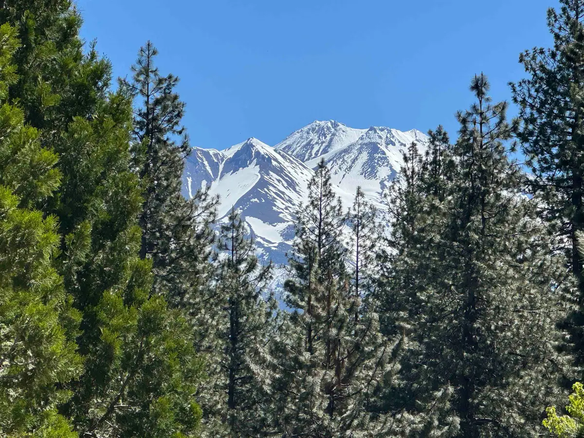 Dogwood Dr, Weed, CA 96094 - Image #1