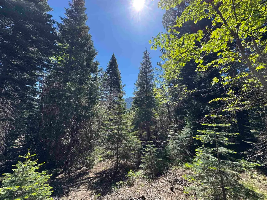 Dogwood Dr, Weed, CA 96094 - Image #2