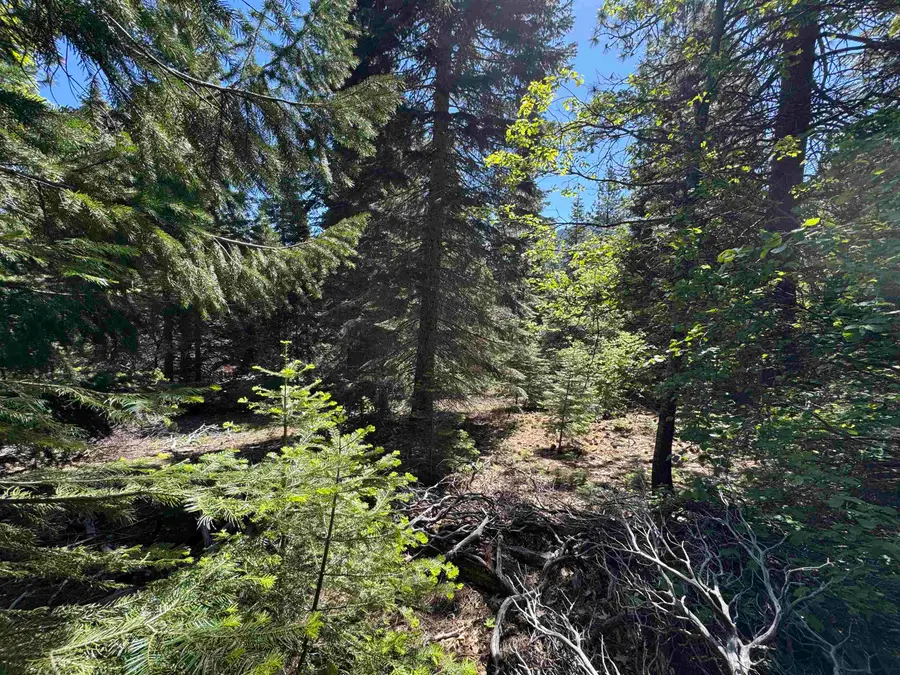 Dogwood Dr, Weed, CA 96094 - Image #3