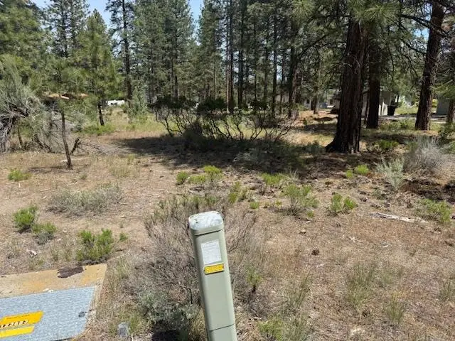 Unit 5-3 Lot 7 Wood Court, Weed, CA 96094 - Image #2
