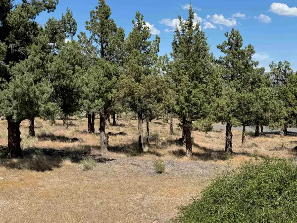 9-1 Lot 114 Wildhorse Pl, Weed, CA 96094