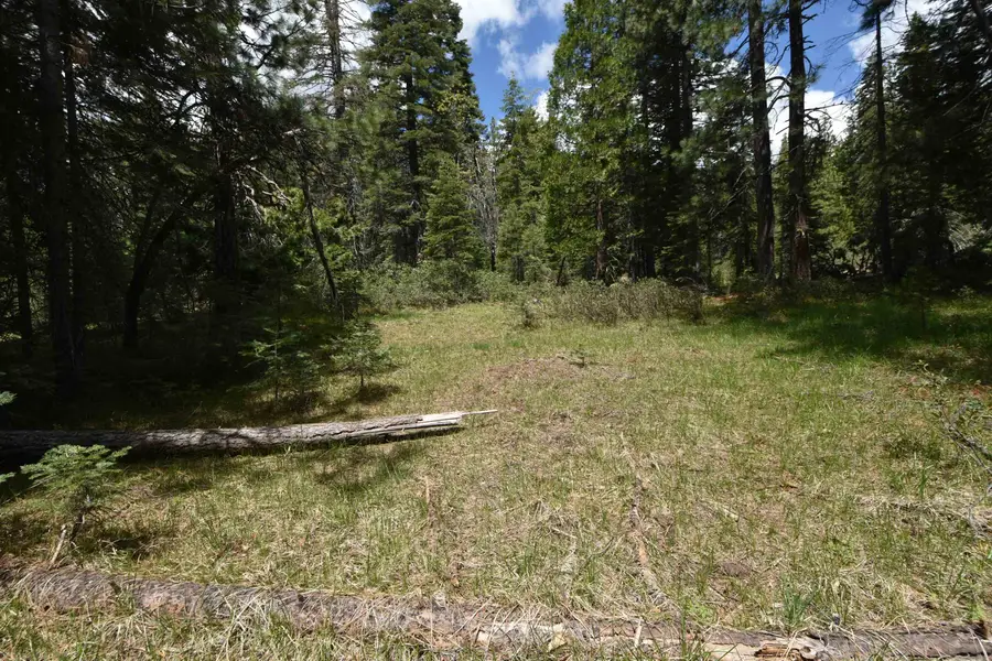 Lot 11 Fumarole CT, McCloud, CA 96057 - Image #2