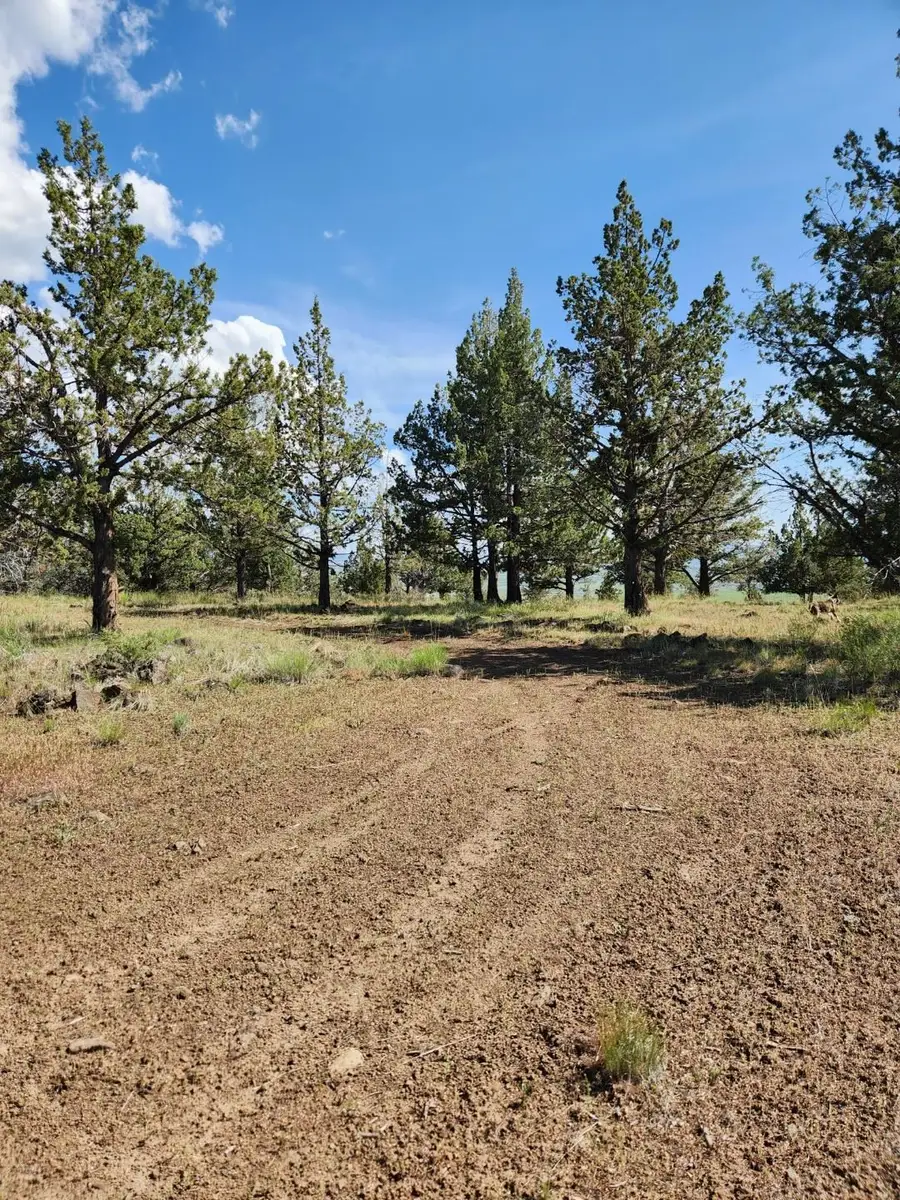 Lot 5 Hummingbird Dr, Newell, CA 96101 - Image #3