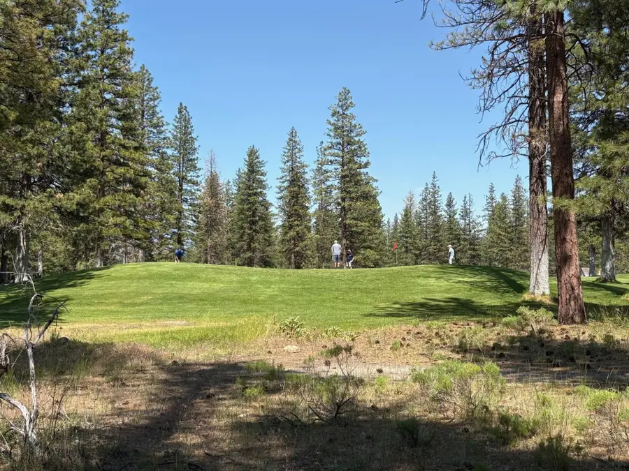 Lot 8 - 9 Harney Court, Weed, CA 96067 - #2