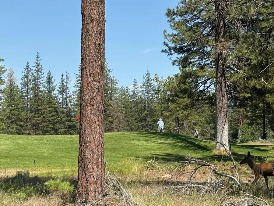 Lot 8 - 9 Harney Court, Weed, CA 96067 - #3