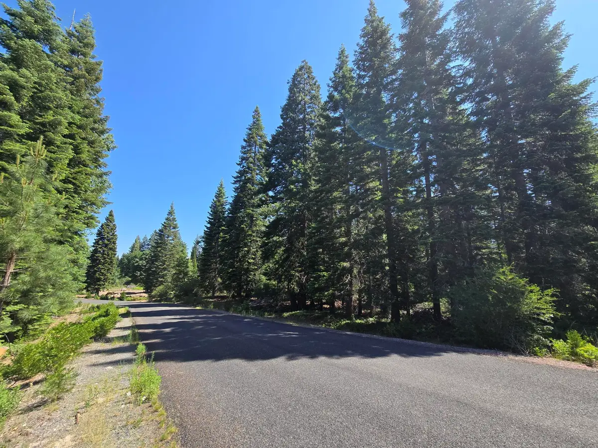 Lot 3 Quail Hill Subdivision, Mount Shasta, CA 96067 - #1