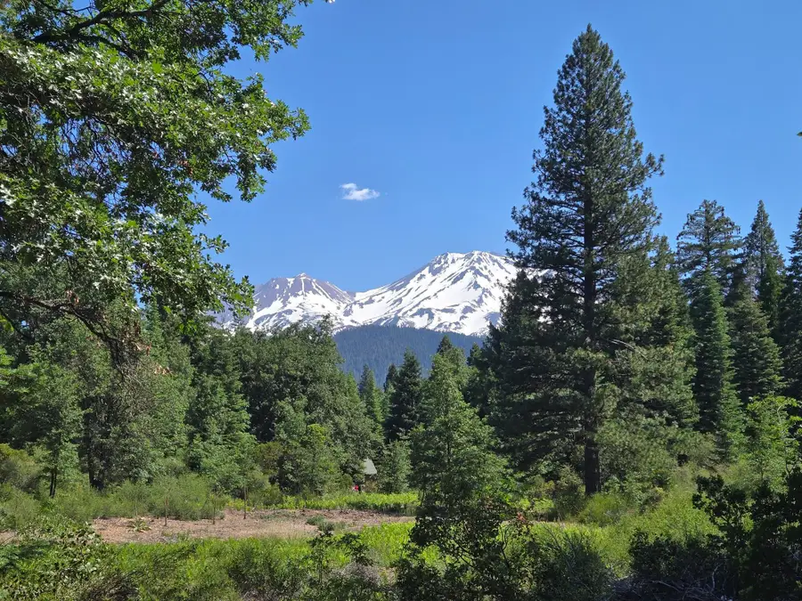 Lot 3 Quail Hill Subdivision, Mount Shasta, CA 96067 - #3