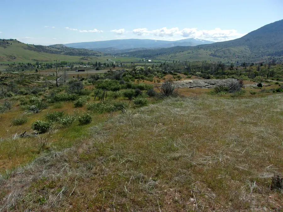 Bradley Henley Rd., Hornbrook, CA 96044 - Image #3